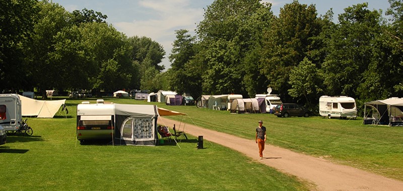zonnige en schaduwrijke plekken Kamperen op een prachtige grasveld van De Stadscamping Deventer gelegen aan De IJssel.